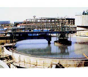 種類繁多，規格齊全