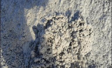 91看片神器免费公司承辦的尾礦幹排工藝排出的尾礦